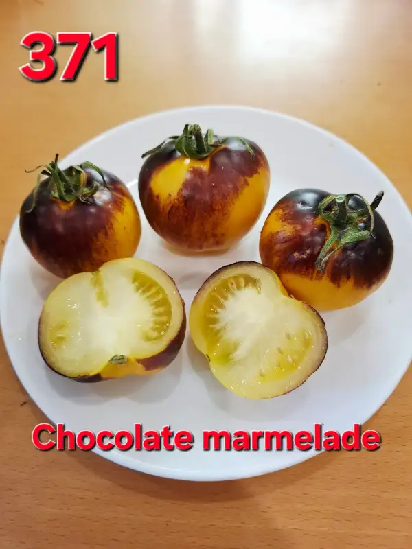 Tomaten: Chocolate marmelade