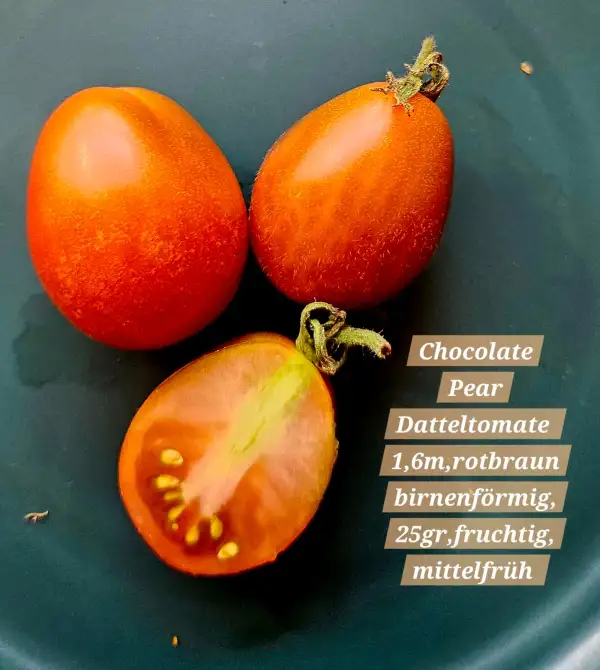 Tomaten: Chocolate Pear