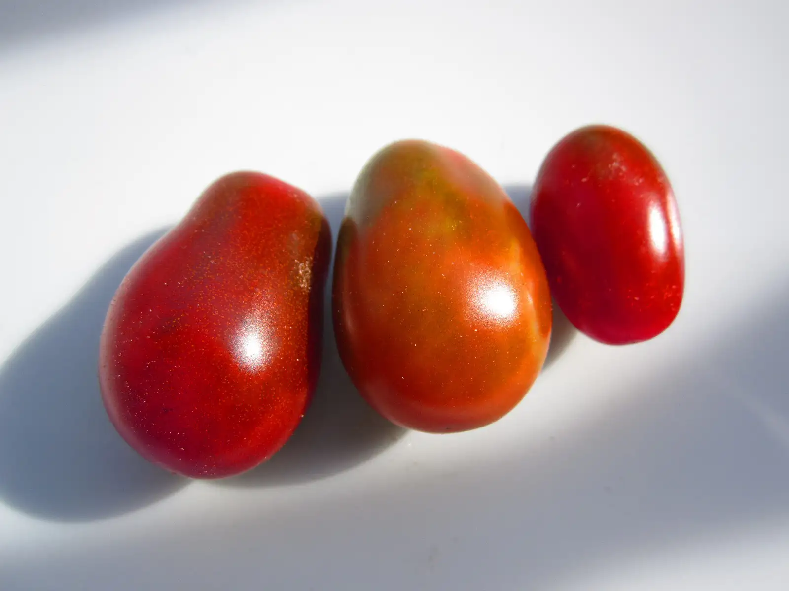 Tomaten: Chocolate Pear