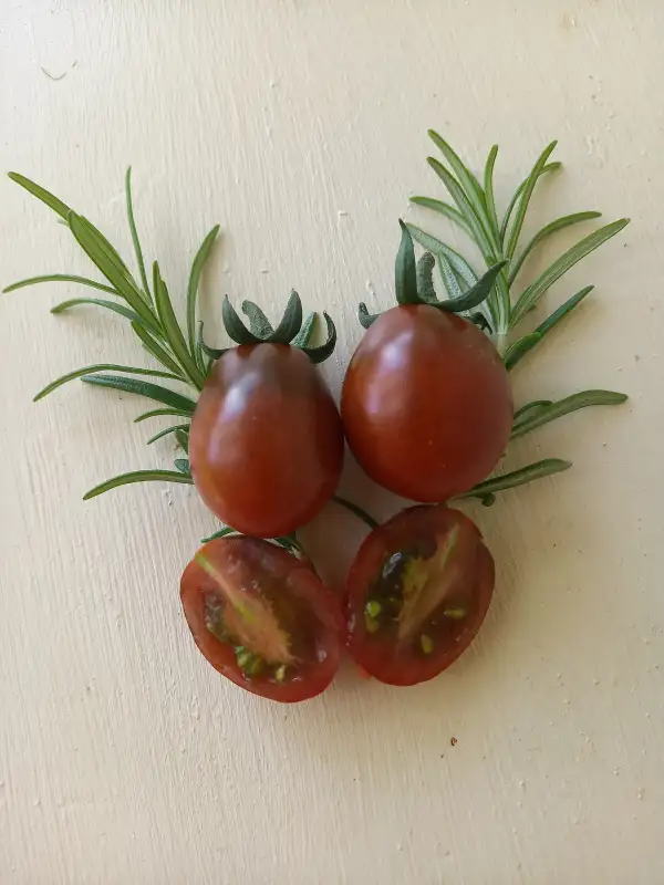 Tomaten: Chocolate Pear
