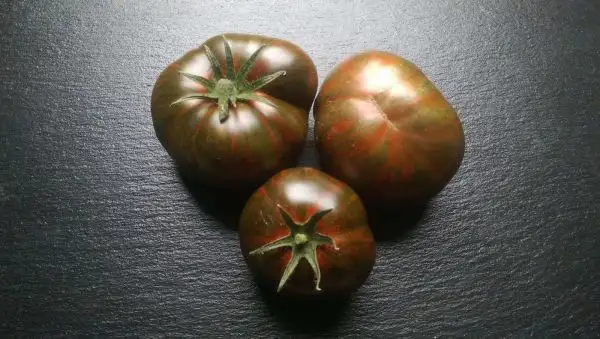 Tomaten: Chocolate Stripes