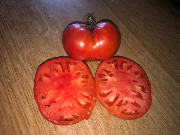 Tomaten: Chudo Zemli