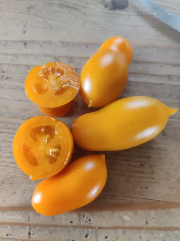 Tomaten: Chuloma