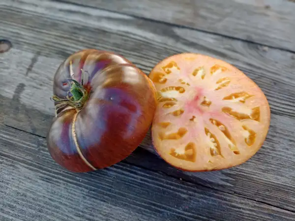 Tomaten: chupa chups