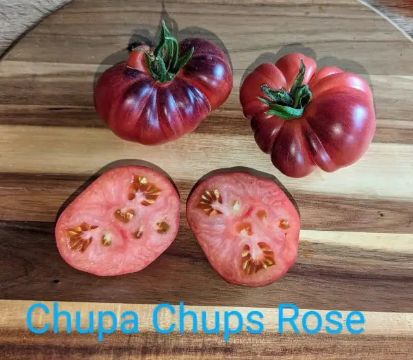 Tomaten: Chupa Chups Rosè