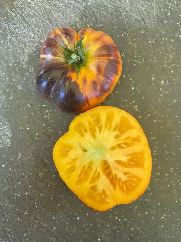 Tomaten: Chuppa Chups