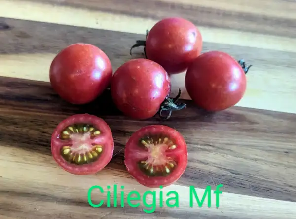 Tomaten: Ciliegia