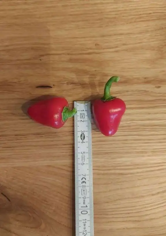 Chili / Paprika: Ciliegia Piccante