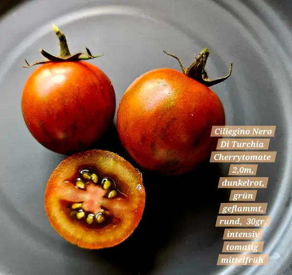 Tomaten: Ciliegino Nero Di Turchia