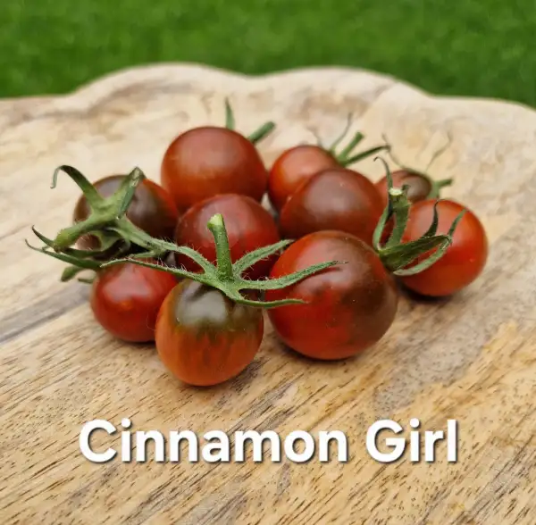 Tomaten: Cinnamon Girl