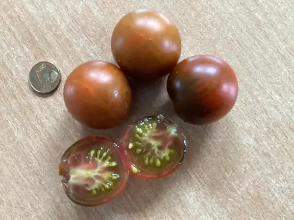 Tomaten: Cinnamon Girl