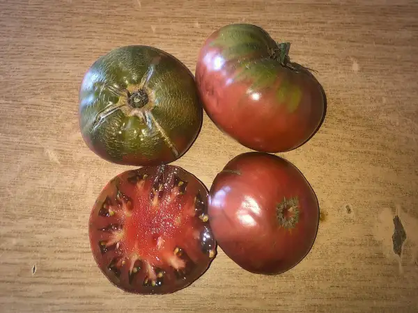 Tomaten: Clear Lake Heirloom