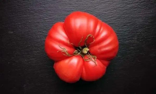 Tomaten: Cleota Pink