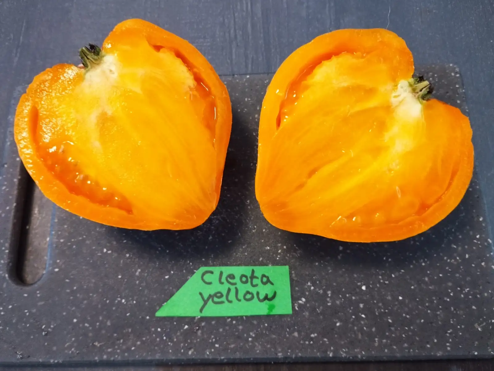 Tomaten: Cleota Yellow