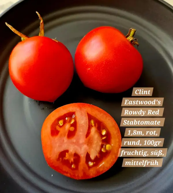 Tomaten: Clint Eastwood