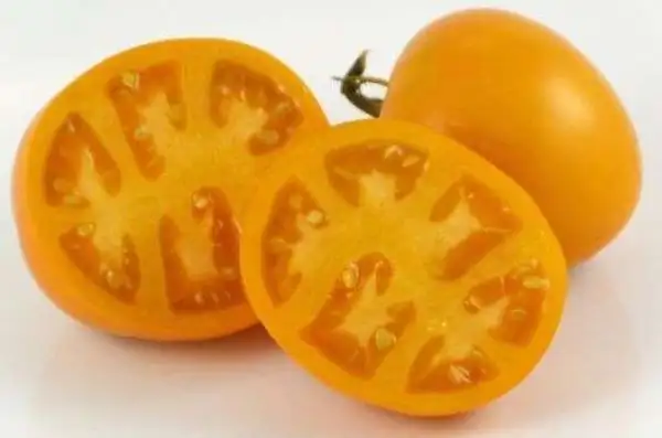 Tomaten: Coastal Pride Orange