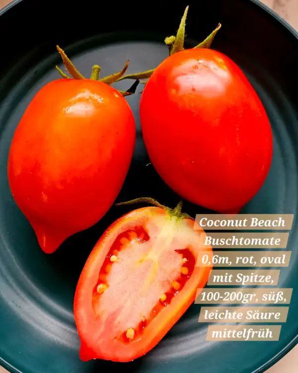 Tomaten: Coconut Beach