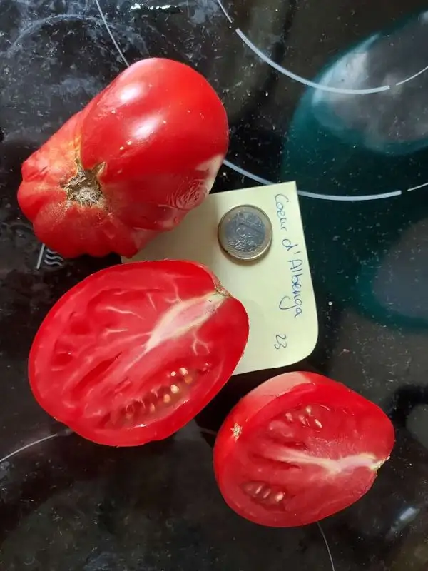 Tomaten: Coeur d