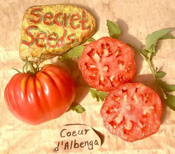 Tomaten: Coeur d‘ Albenga