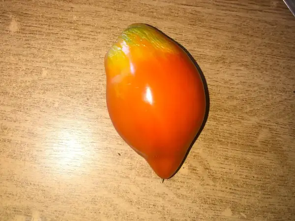 Tomaten: Coeur de Boeuf de Jérusalem