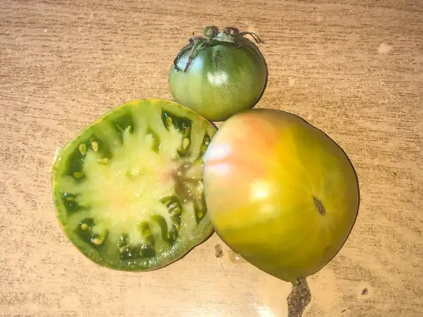 Tomaten: Coeur de Jade