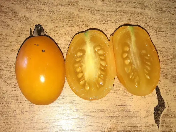 Tomaten: Coeur de Pigeon Jaune
