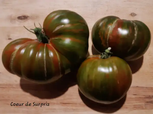 Tomaten: Coeur de Surpriz