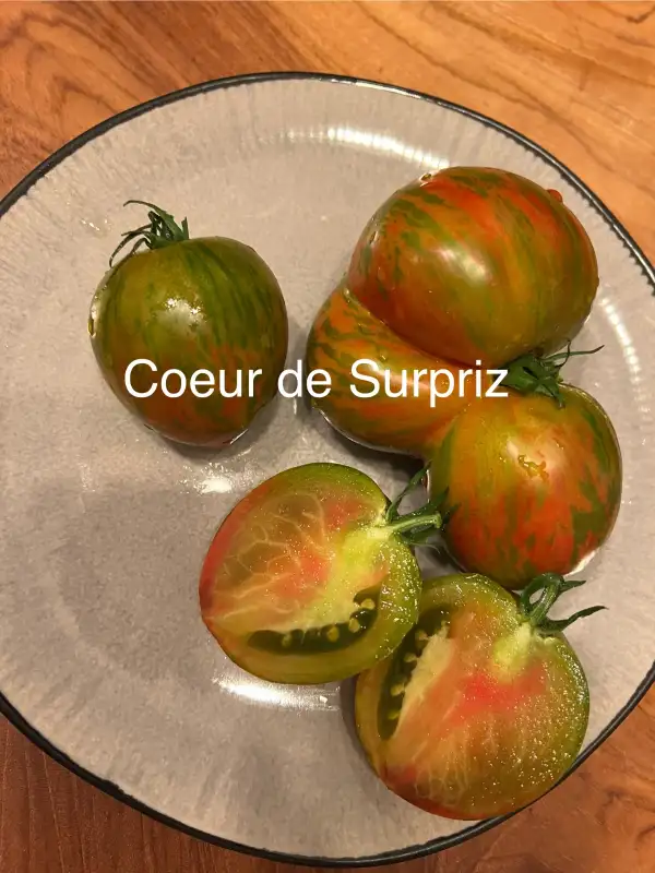 Tomaten: Coeur de Surpriz