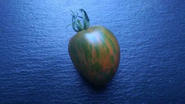 Tomaten: Coeur de Surpriz