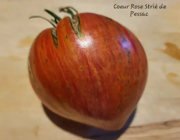 Tomaten: Coeur Rose Strié de Pessac