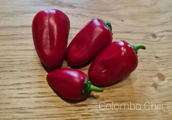 Chili / Paprika: Colombo