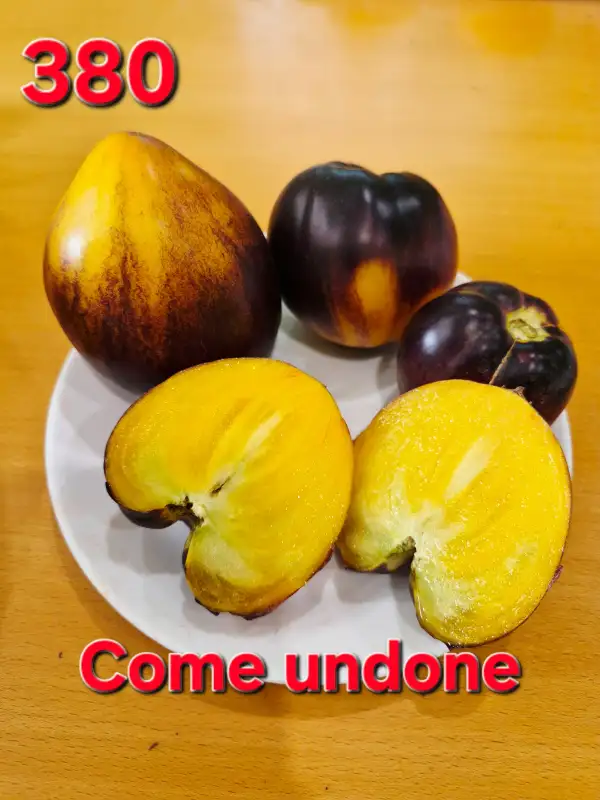 Tomaten: Come Undone