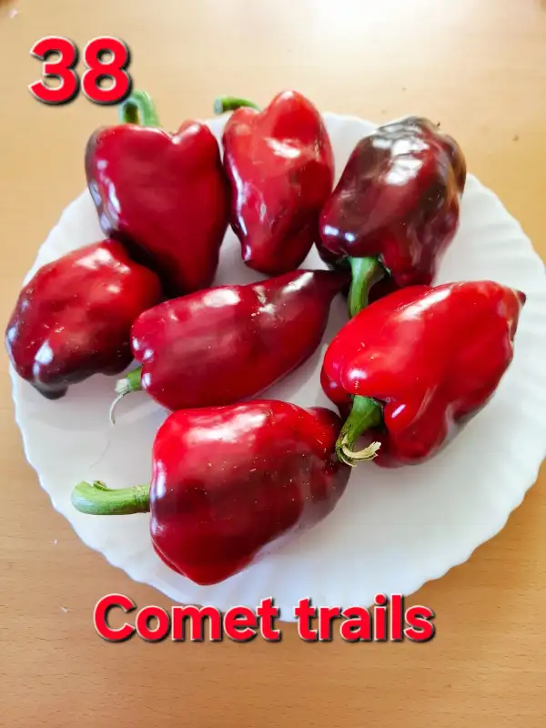 Chili / Paprika: Comet trails