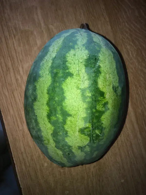 Obst: Congo wassermelone