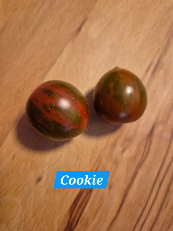Tomaten: Cookie