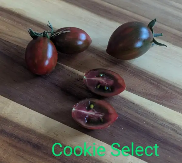 Tomaten: Cookie Select