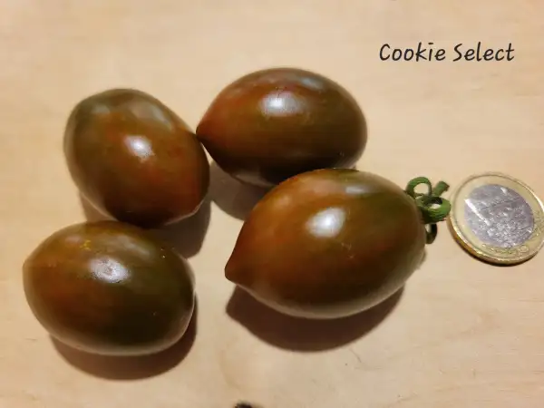 Tomaten: Cookie Select