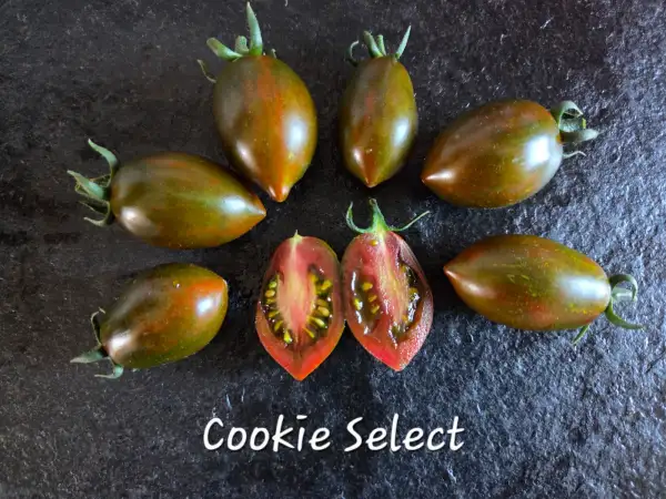 Tomaten: Cookie Select