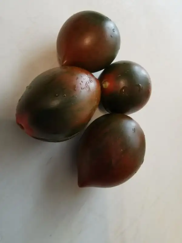 Tomaten: Cookie Select Tomate