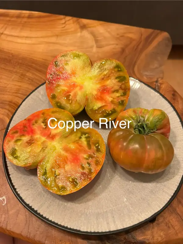 Tomaten: Copper River