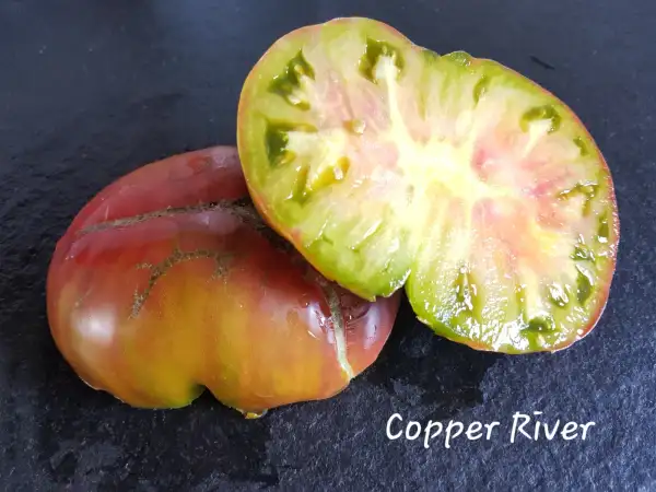 Tomaten: Copper River