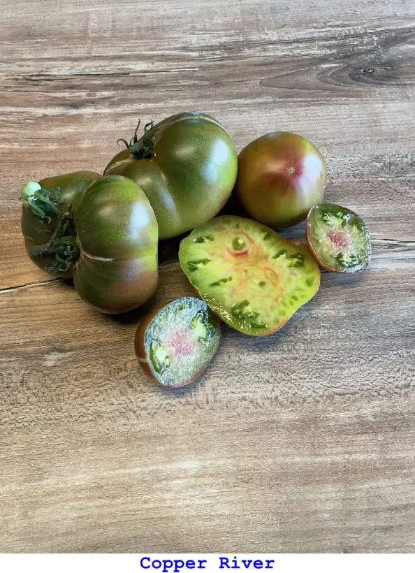 Tomaten: Copper River