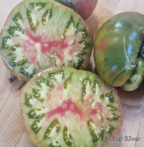 Tomaten: Copper River
