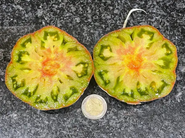 Tomaten: Copper River