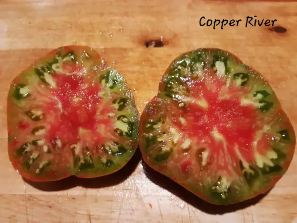 Tomaten: Copper River