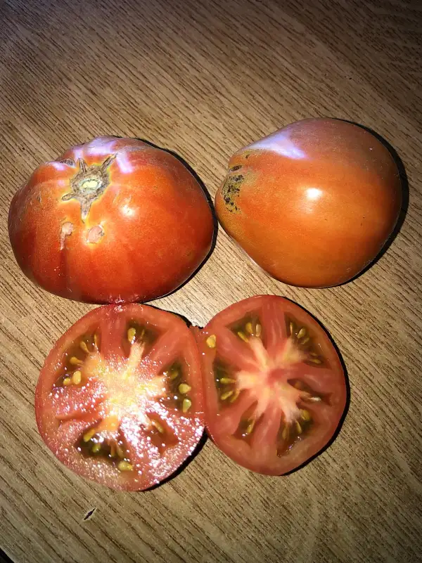 Tomaten: Corazón de Buey de Huelva
