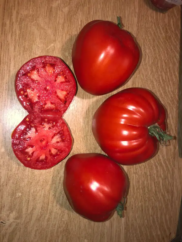 Tomaten: Corazón de Buey Extremeño