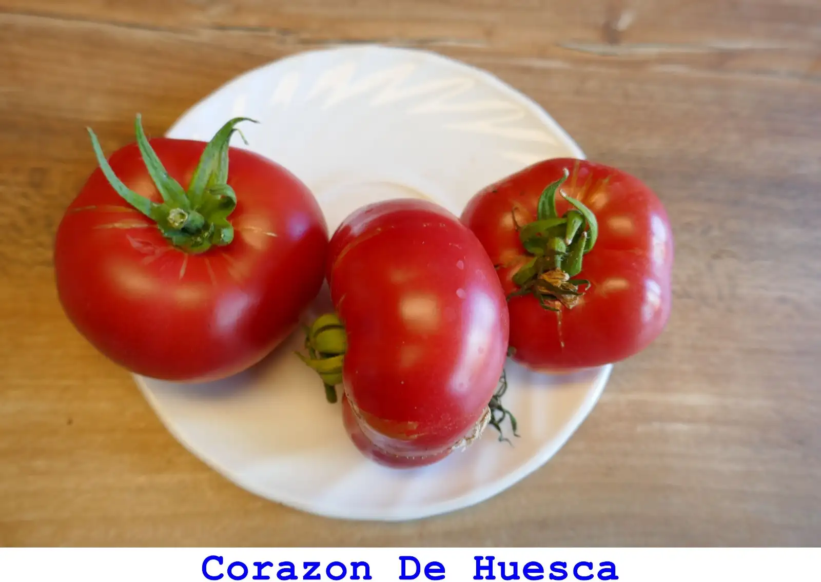 Tomaten: Corazon De Huesca