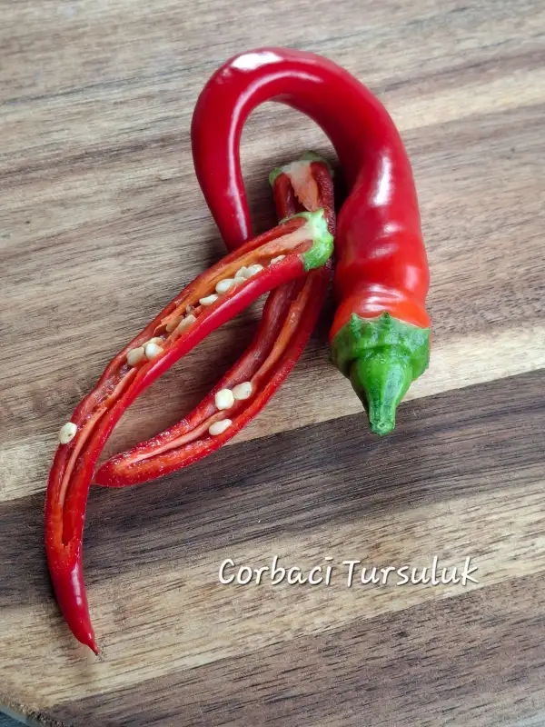 Chili / Paprika: Corbaci Tursuluk