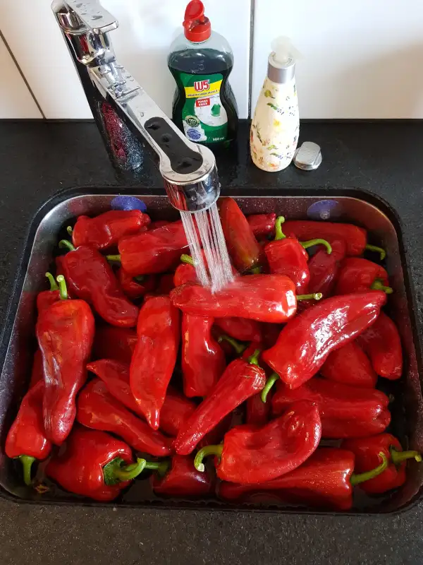 Chili / Paprika: Corno di toro rosso